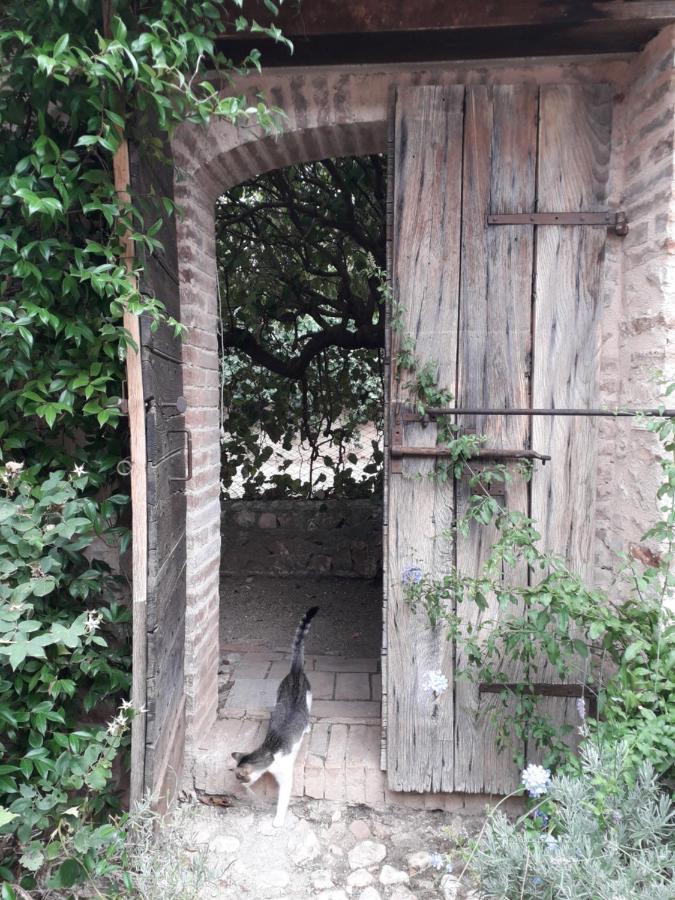 La Palombaia Guest House Spoleto Exterior foto