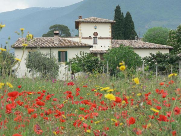 La Palombaia Guest House Spoleto Exterior foto