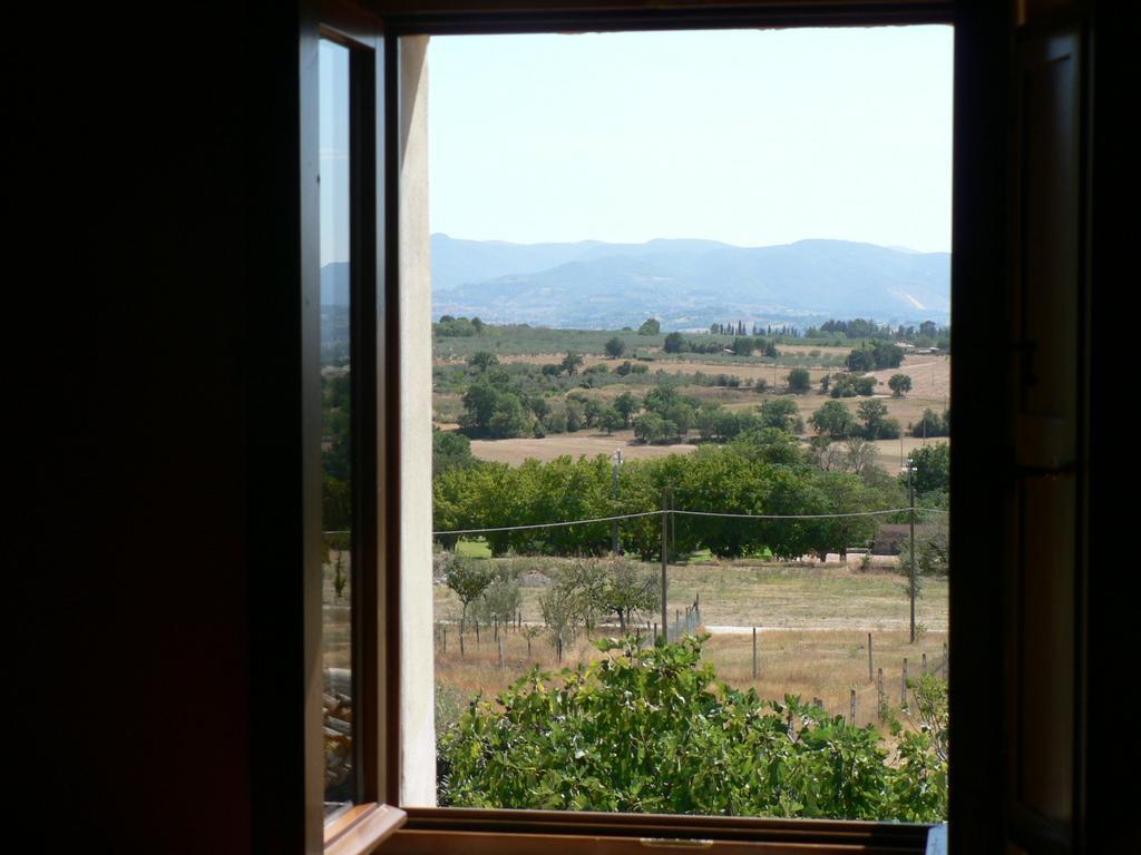 La Palombaia Guest House Spoleto Exterior foto